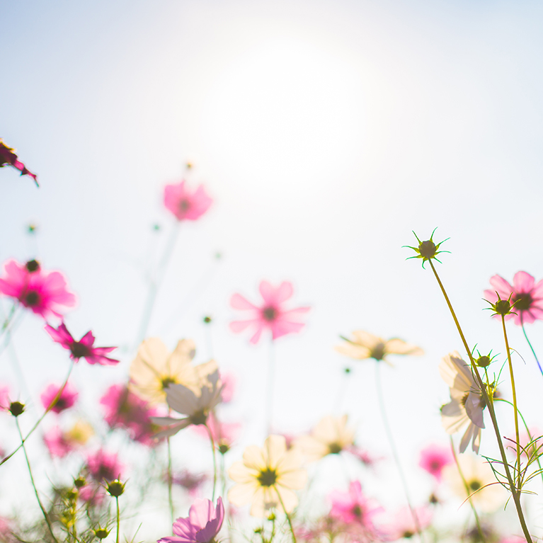 Spring Statement 2026 image